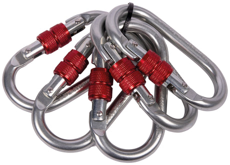 CAMP - OVAL STANDARD LOCK - Moschettone