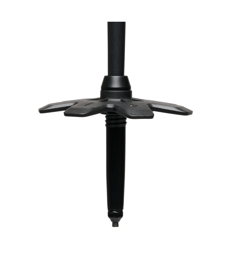 BLACK DIAMOND - ALPINE CARBON CORK TREK POLES