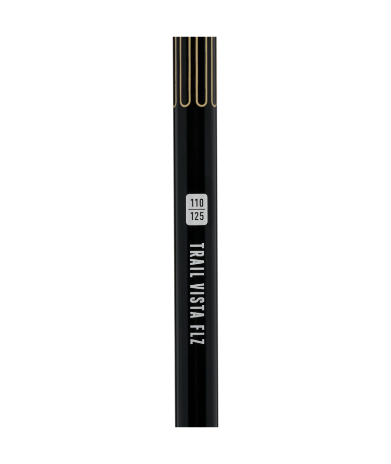 BLACK DIAMOND - TRAIL VISTA FLZ TREKKING POLES