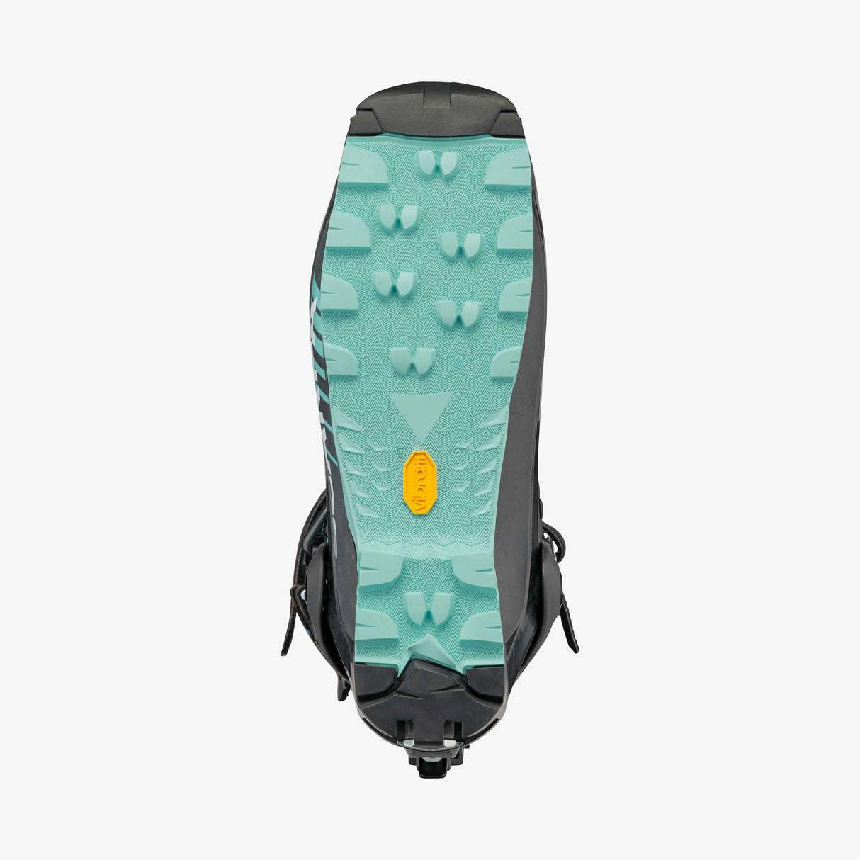 F1 LT image 5