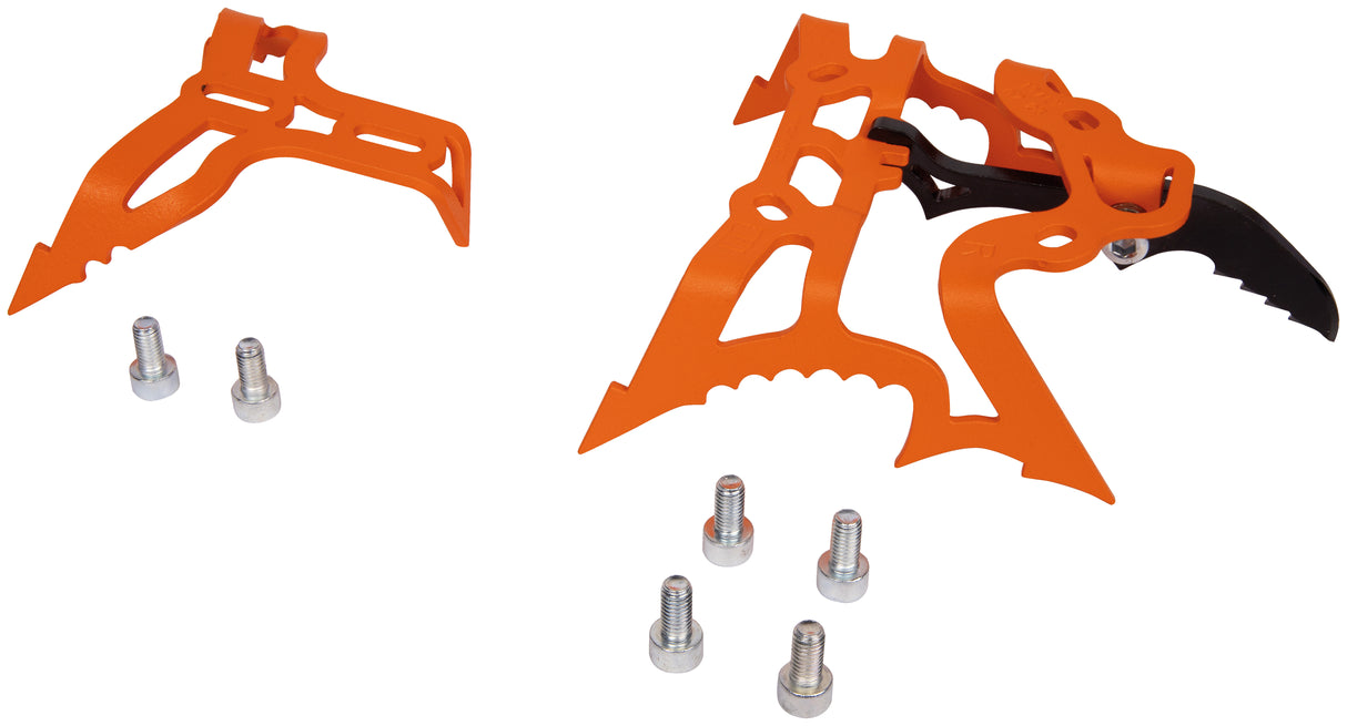 CAMP - DRY - Rampone