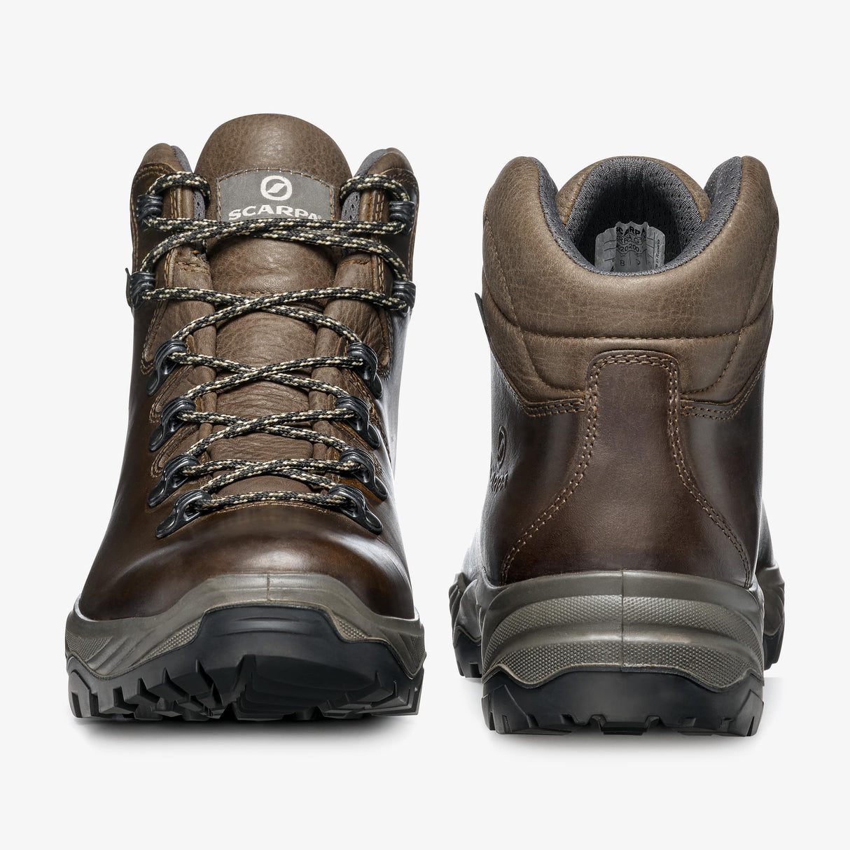 Terra GTX image 4
