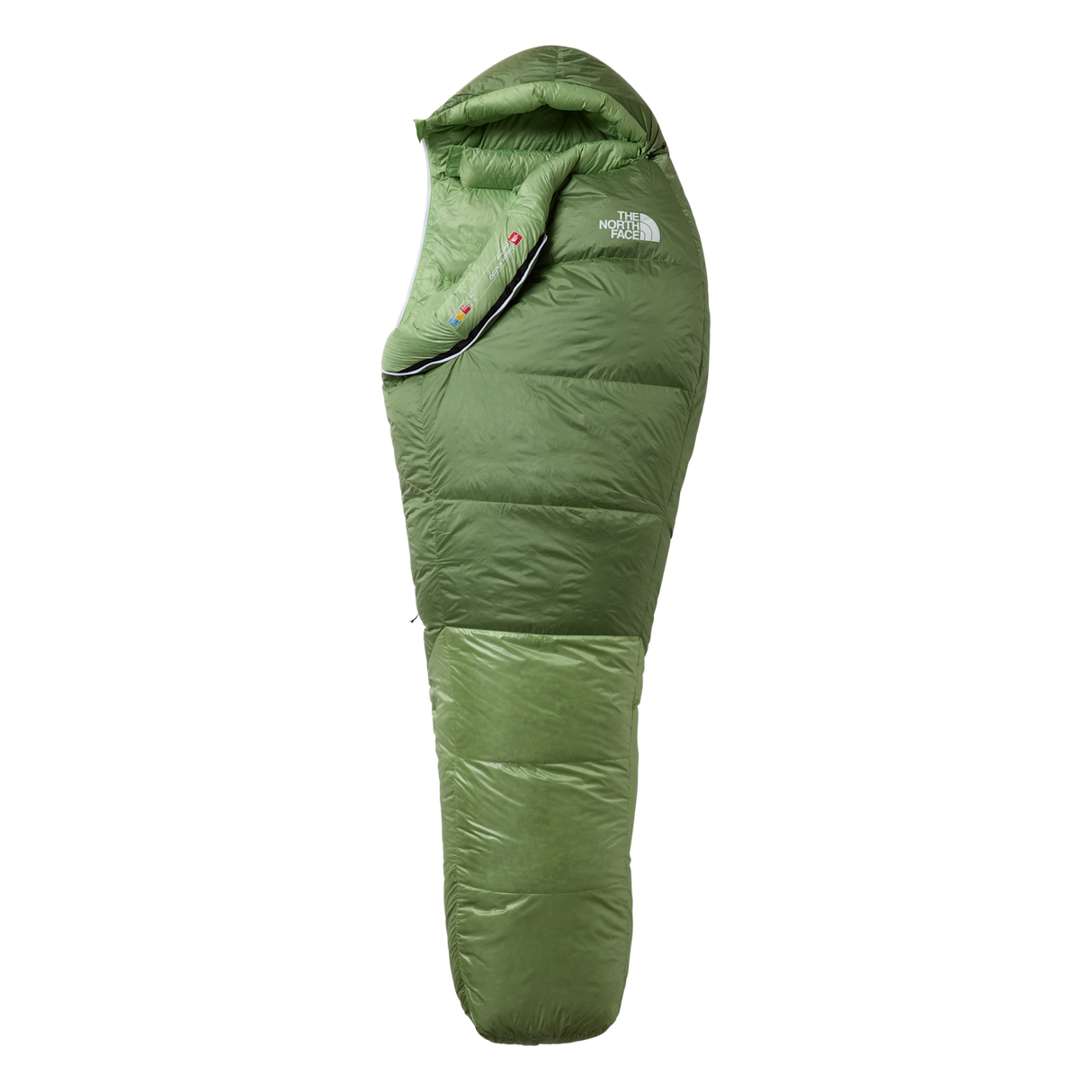 The North Face - Green Kazoo - FOREST SHADE/FOREST SHA - vista principale