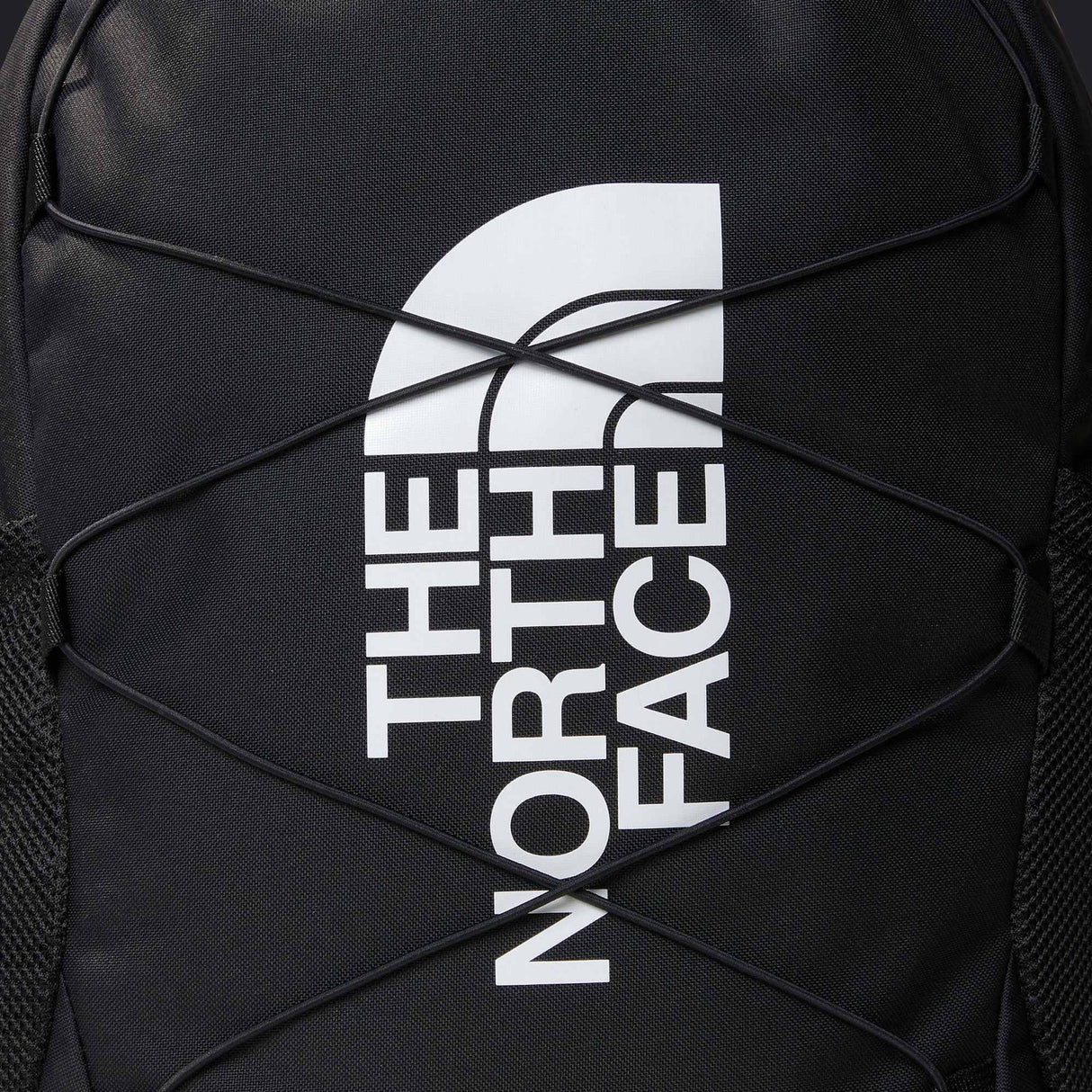 The North Face - Y Court Jester Smoked Pearl/Sport Moss - TNF BLACK - vista alternativa 2