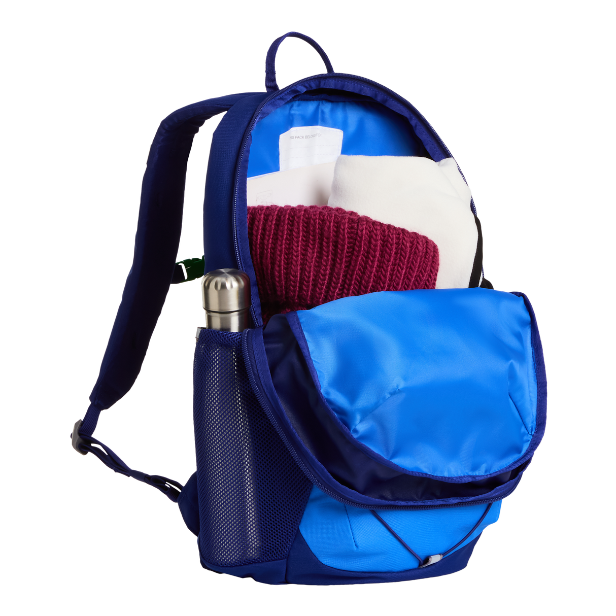 The North Face - Y Court Jester Smoked Pearl/Sport Moss - ACTIVE BLUE/BOLD BLUE - vista alternativa 4