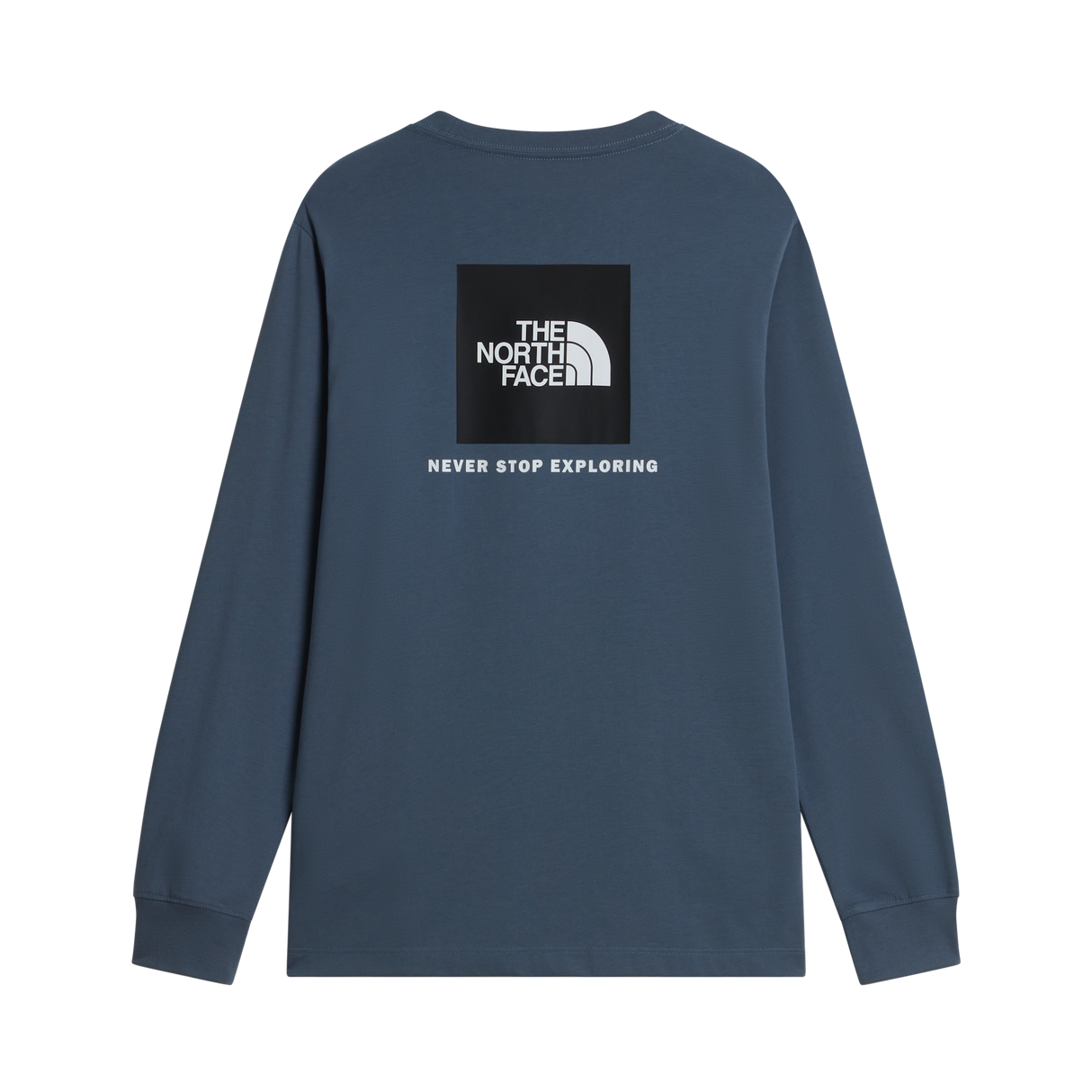 The North Face - Evolution Box Nse Regular Long Sleeve da uomo - GRANITE GREY - vista alternativa 1