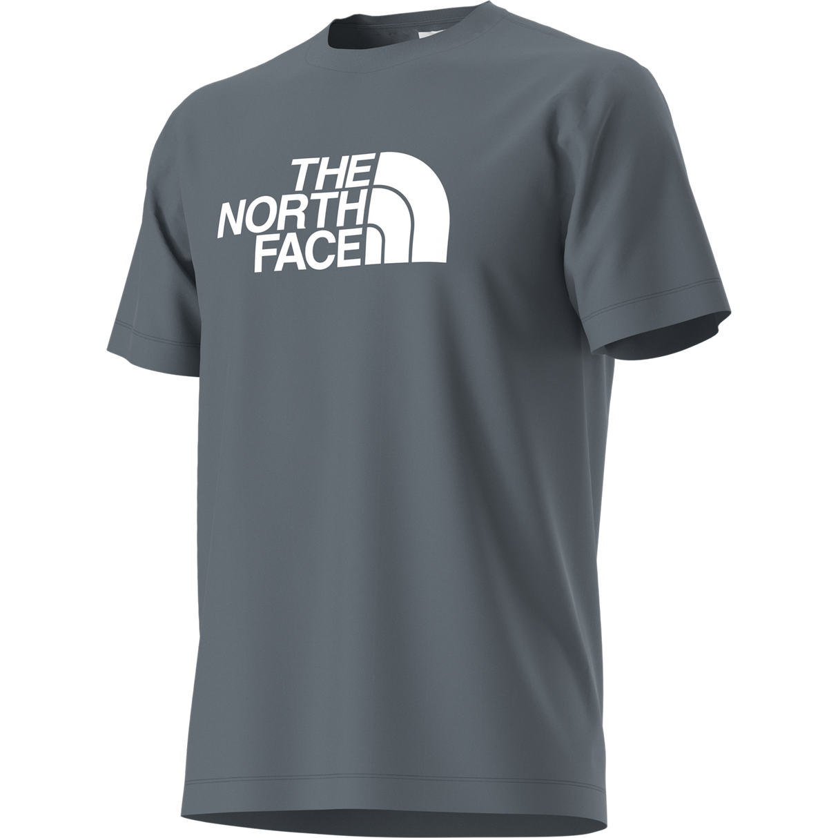 The North Face - Evolution Half Dome Regular Short Slee da uomo - GRANITE GREY - vista alternativa 12