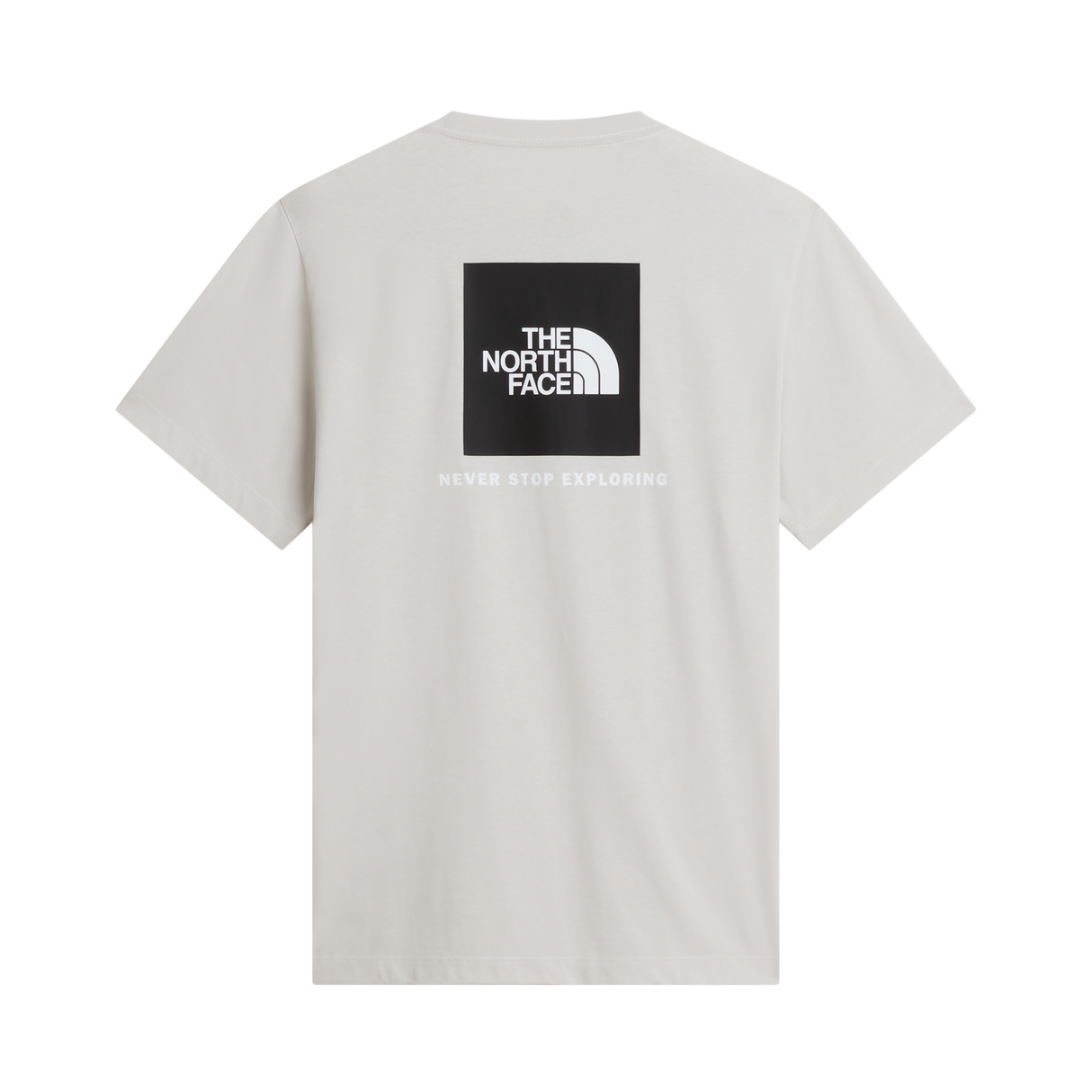 The North Face - Evolution Box Nse Regular Short Sleeve da uomo - Cumulus Cloud - vista alternativa 1