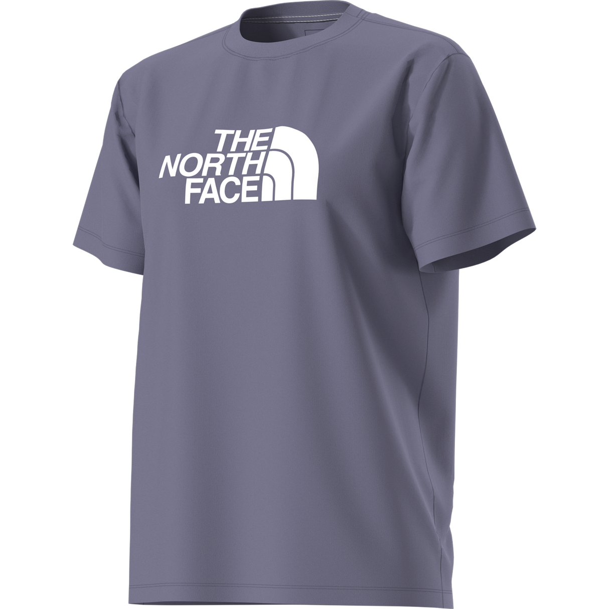 The North Face - Evolution Half Dome Short Slee Pearl Stone da donna - URBNNVY/BRNZMST - vista alternativa 12