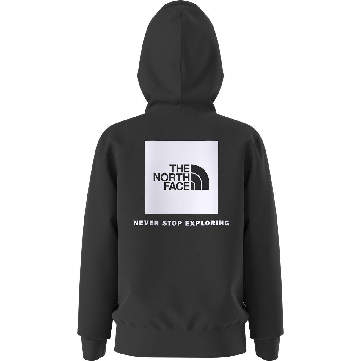 The North Face - Teen Evolution Box Nse Pullover Hoodie - TNF BLACK - vista alternativa 1