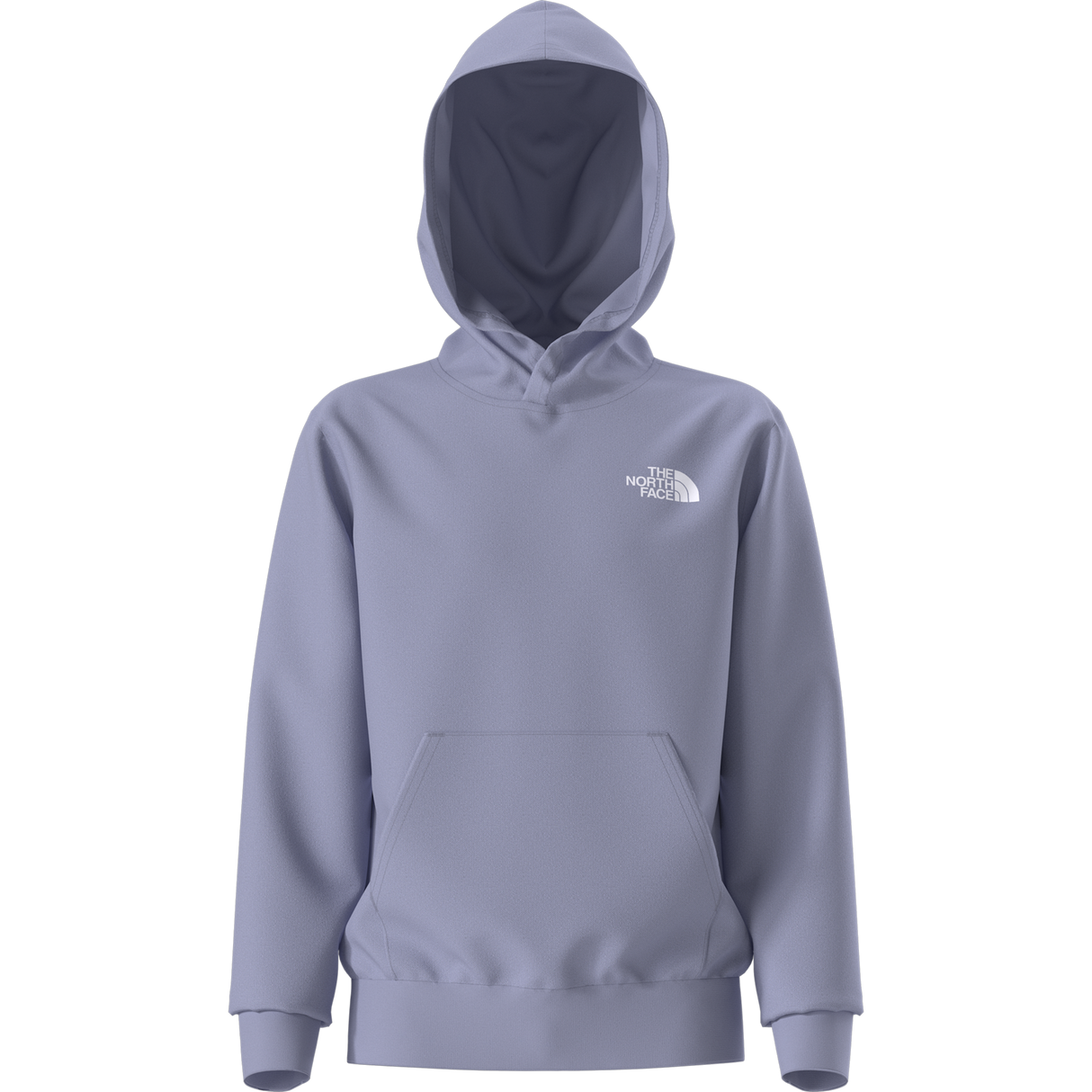 The North Face - Teen Evolution Box Nse Pullover Hoodie - Pale Plum - vista alternativa 11