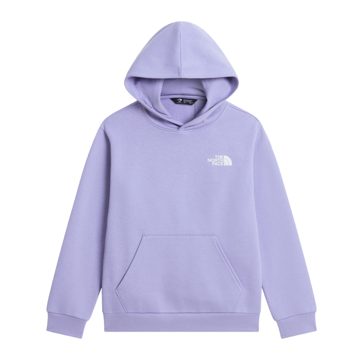 The North Face - Teen Evolution Box Nse Pullover Hoodie - Pale Plum - vista principale