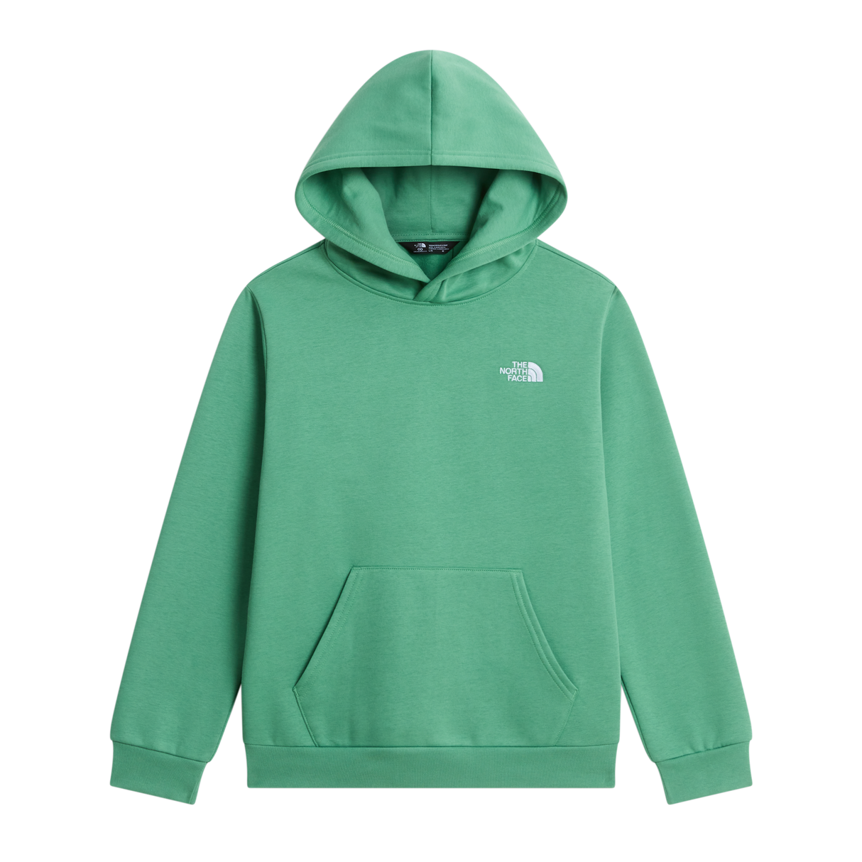 The North Face - Teen Evolution Simple Dome Pullover Hood - Dimmed Algae - vista principale