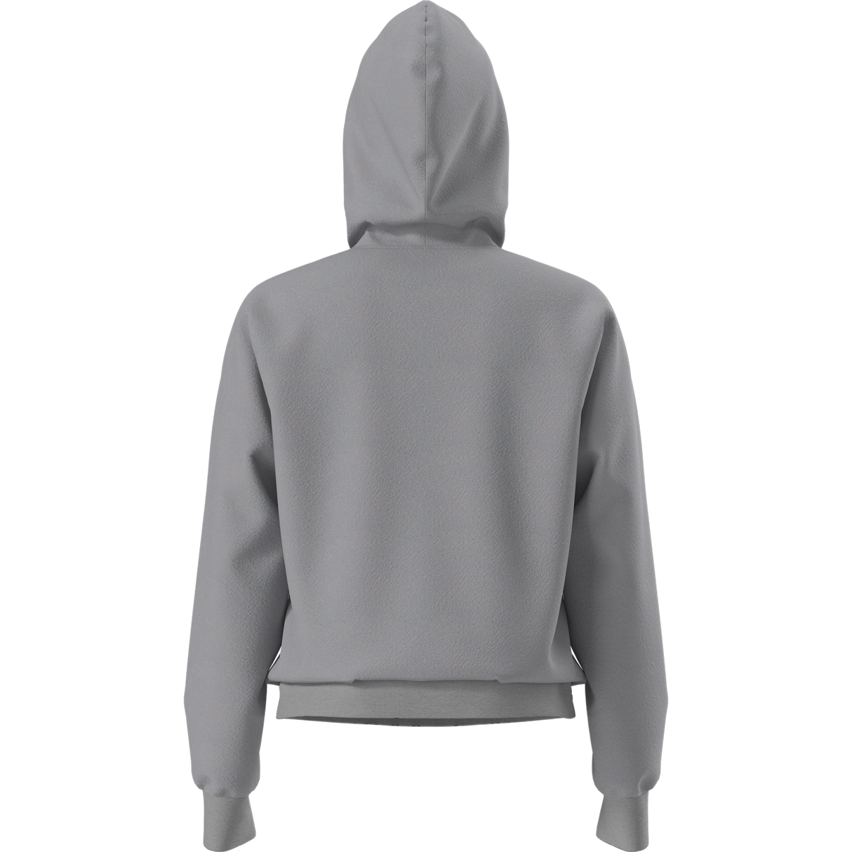 The North Face - Evolution Simple Dome Regular Hoodie da donna - TNF Pale Grey Heather - vista alternativa 1
