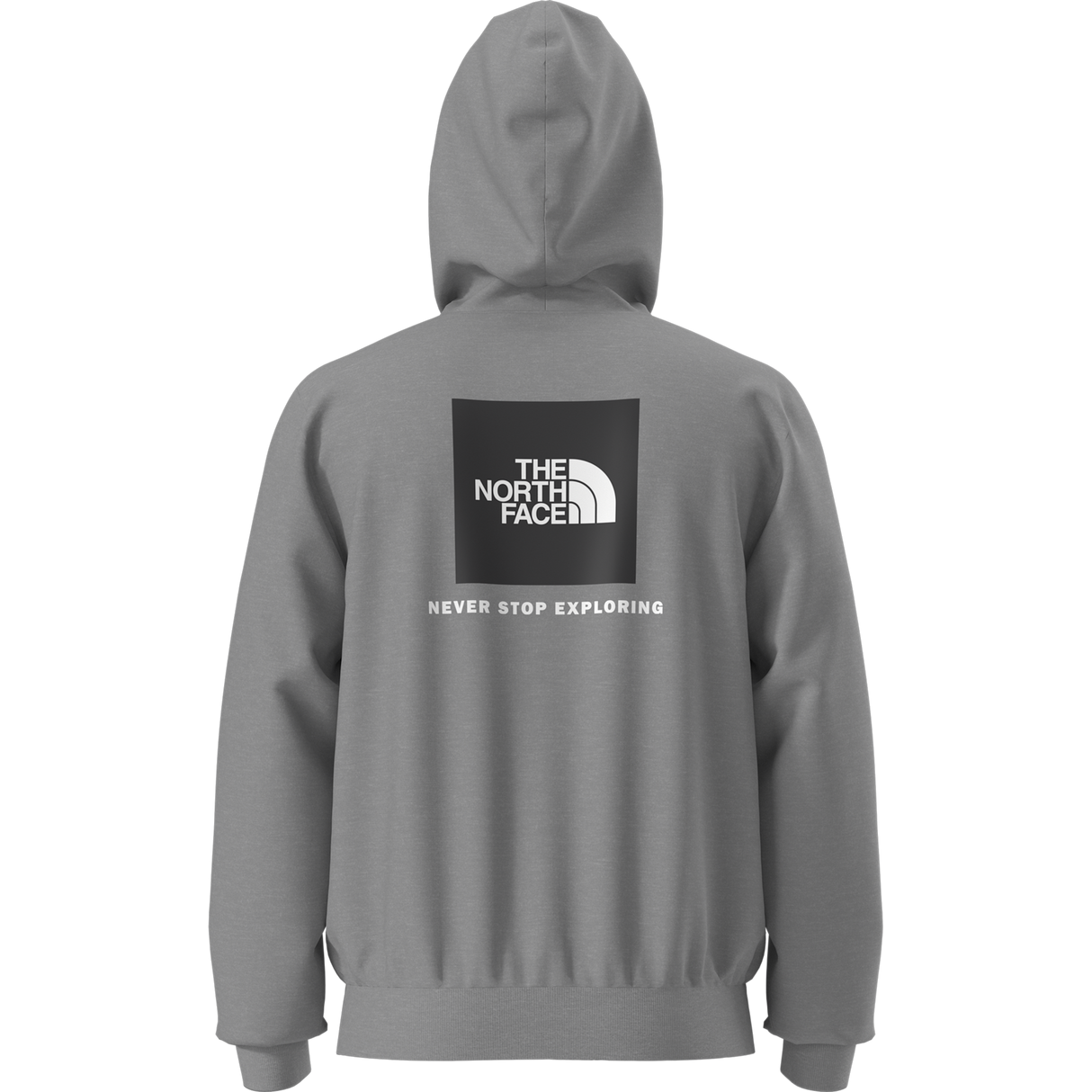 The North Face - Evolution Box Nse Regular Hoodie da uomo - TNF Pale Grey Heather - vista principale