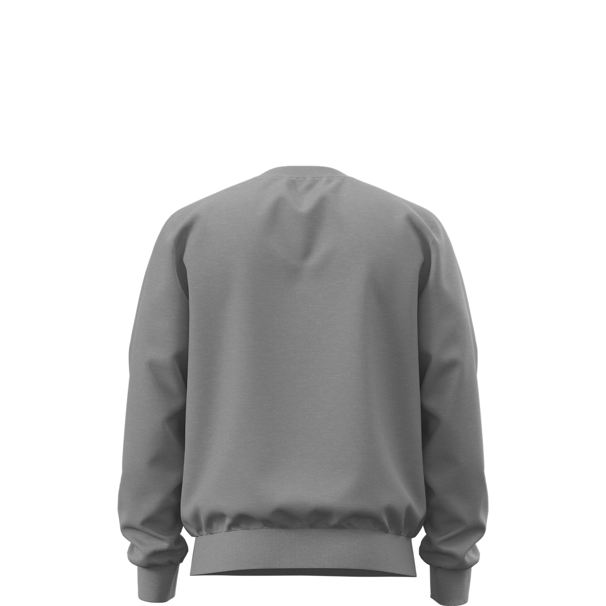 The North Face - Evolution Simple Dome Regular Crew da uomo - TNF Pale Grey Heather - vista alternativa 1