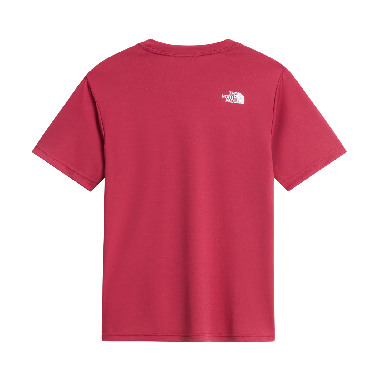The North Face - Teen New 24/7 Ss Tee - TERRMGN/CTRNYLW - vista alternativa 1
