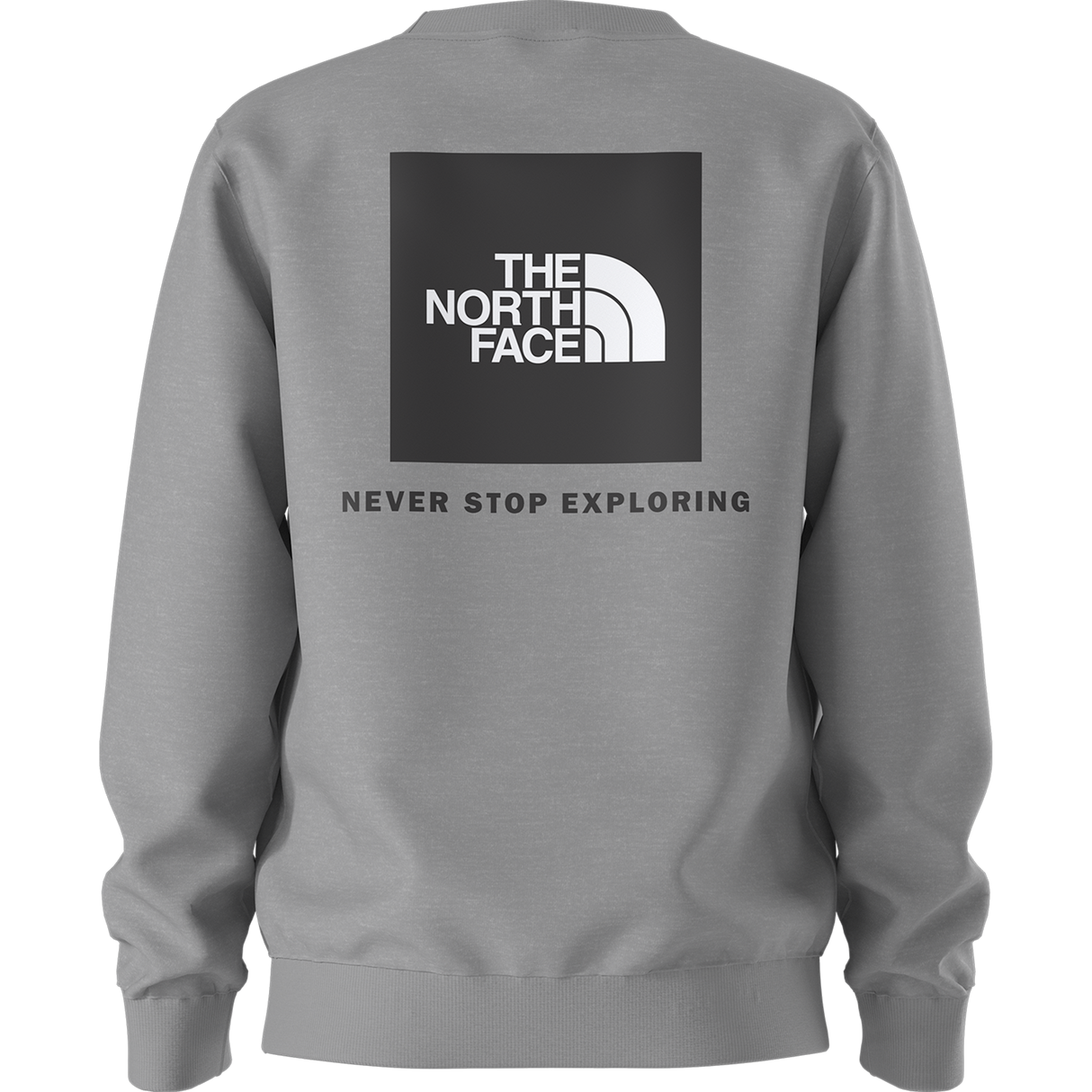 The North Face - Teen Evolution Box Nse Crew - TNF Pale Grey Heather - vista alternativa 10