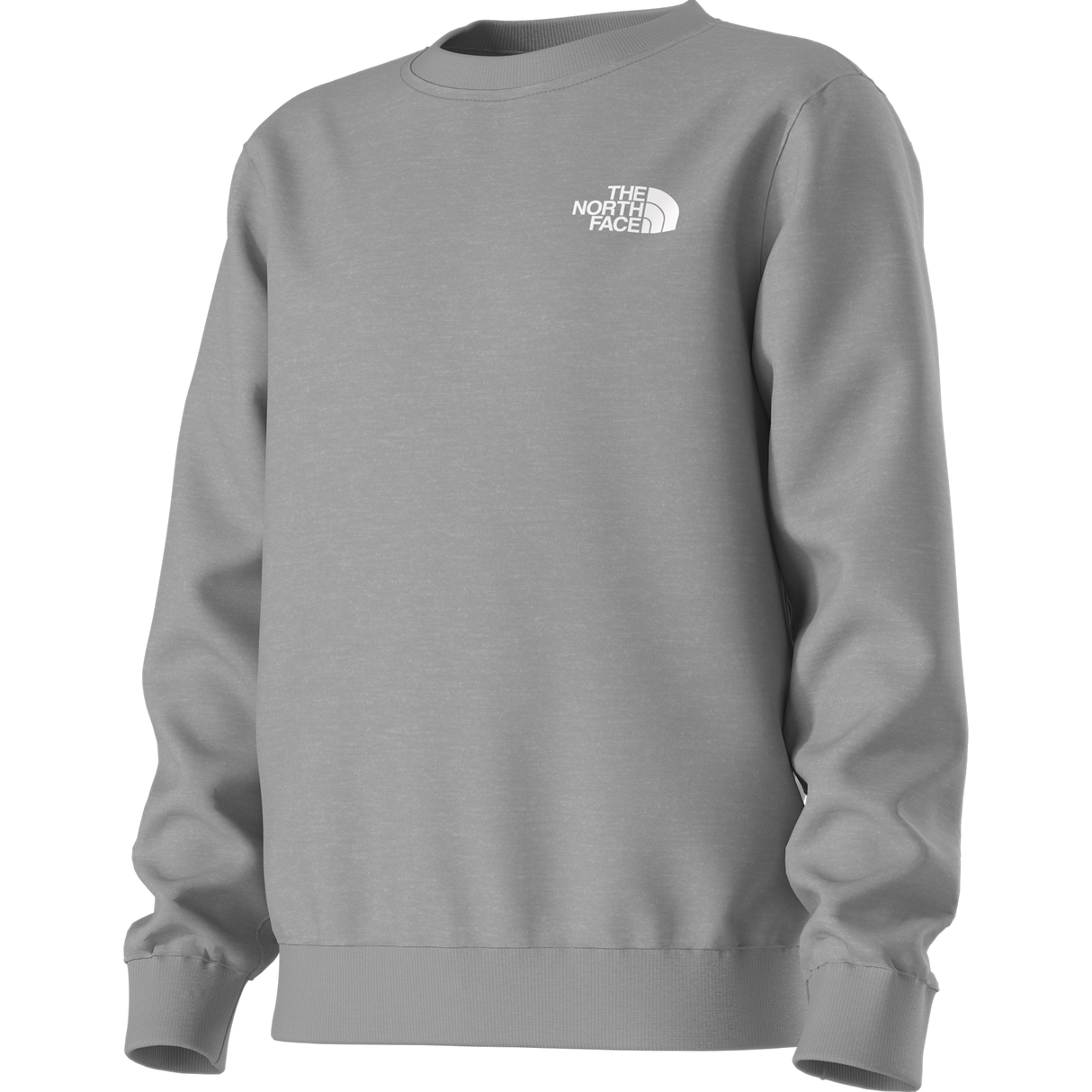 The North Face - Teen Evolution Box Nse Crew - TNF Pale Grey Heather - vista alternativa 12