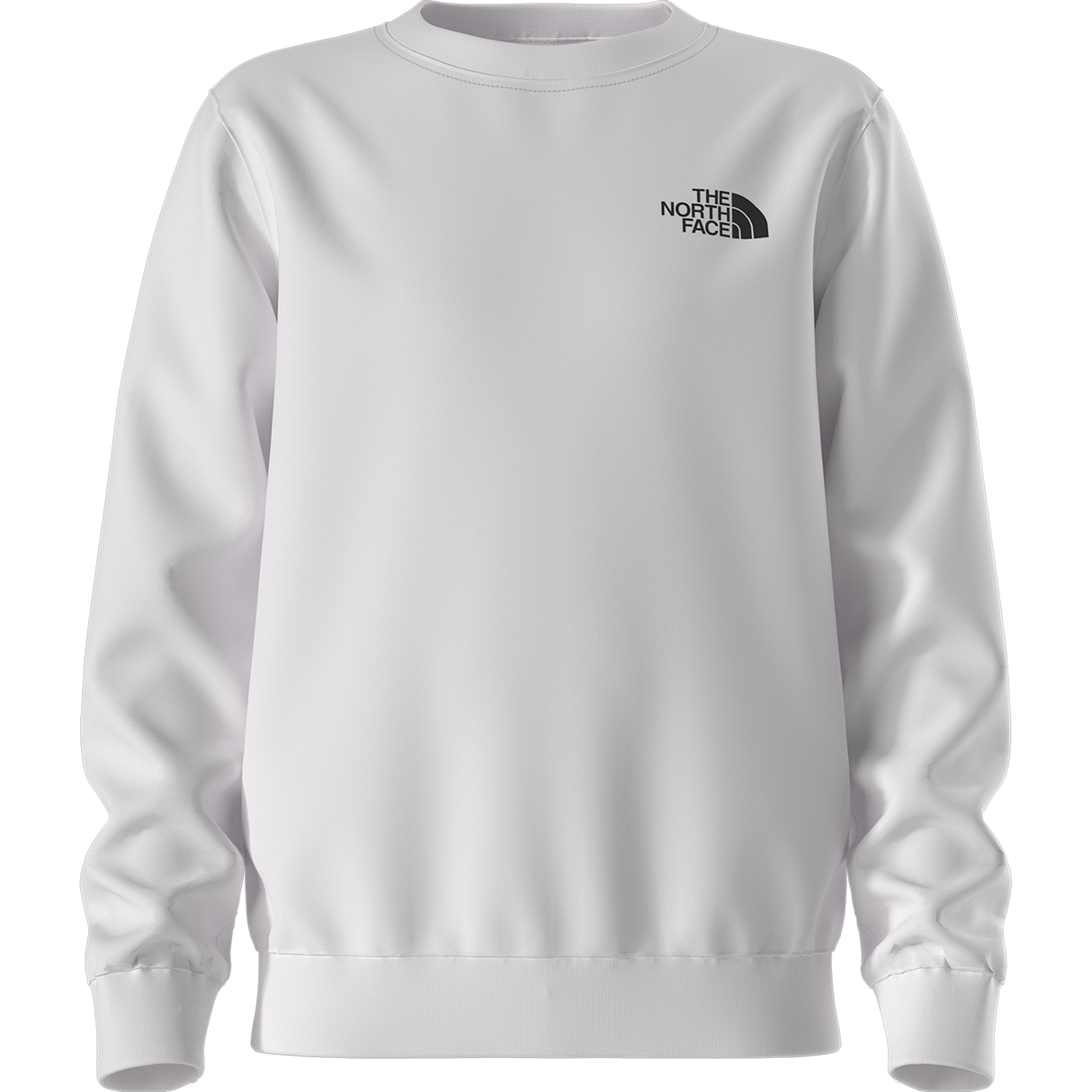The North Face - Teen Evolution Box Nse Crew - TNF WHITE - vista alternativa 11
