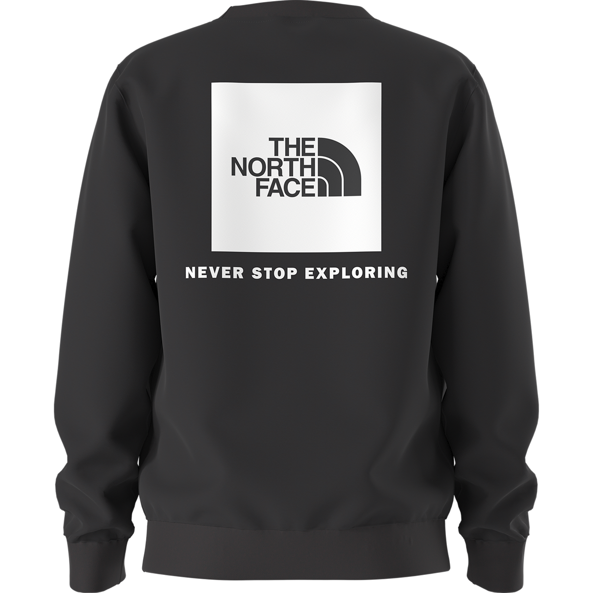 The North Face - Teen Evolution Box Nse Crew - TNF BLACK - vista alternativa 10