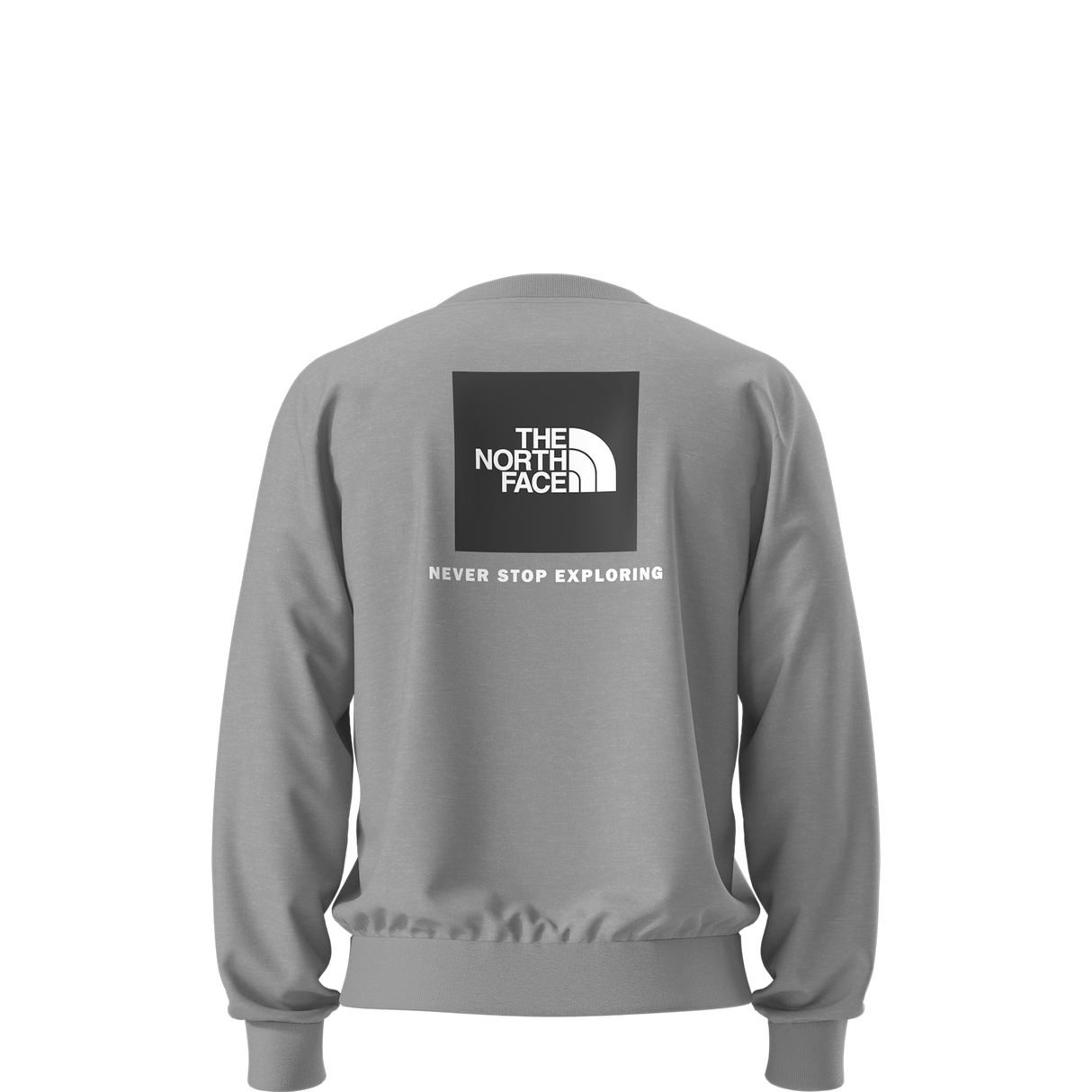 The North Face - Evolution Box Nse Regular Crew da uomo - TNF Pale Grey Heather - vista alternativa 1