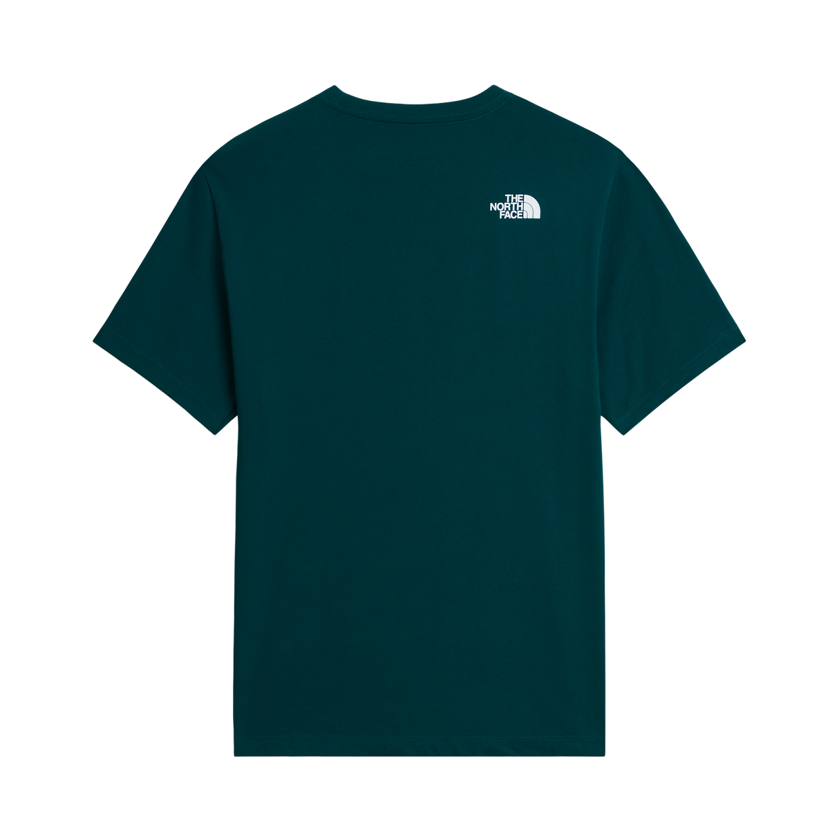 The North Face - Nse Reg Ss Tee-graphic da uomo - Pacific Teal - vista alternativa 1