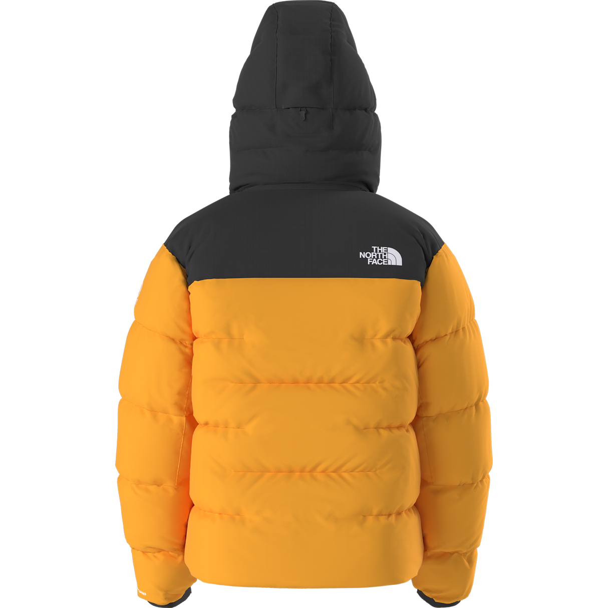 The North Face - Summit Nuptse Jacket da uomo - SUMMIT GOLD/TNF BLACK - vista alternativa 11