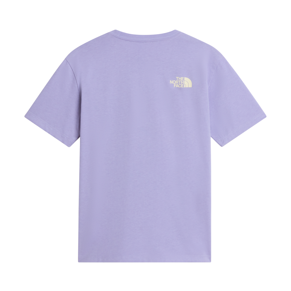 The North Face - Teen G Brand Proud Relaxed Ss Tee - Gra - Pale Plum - vista alternativa 1