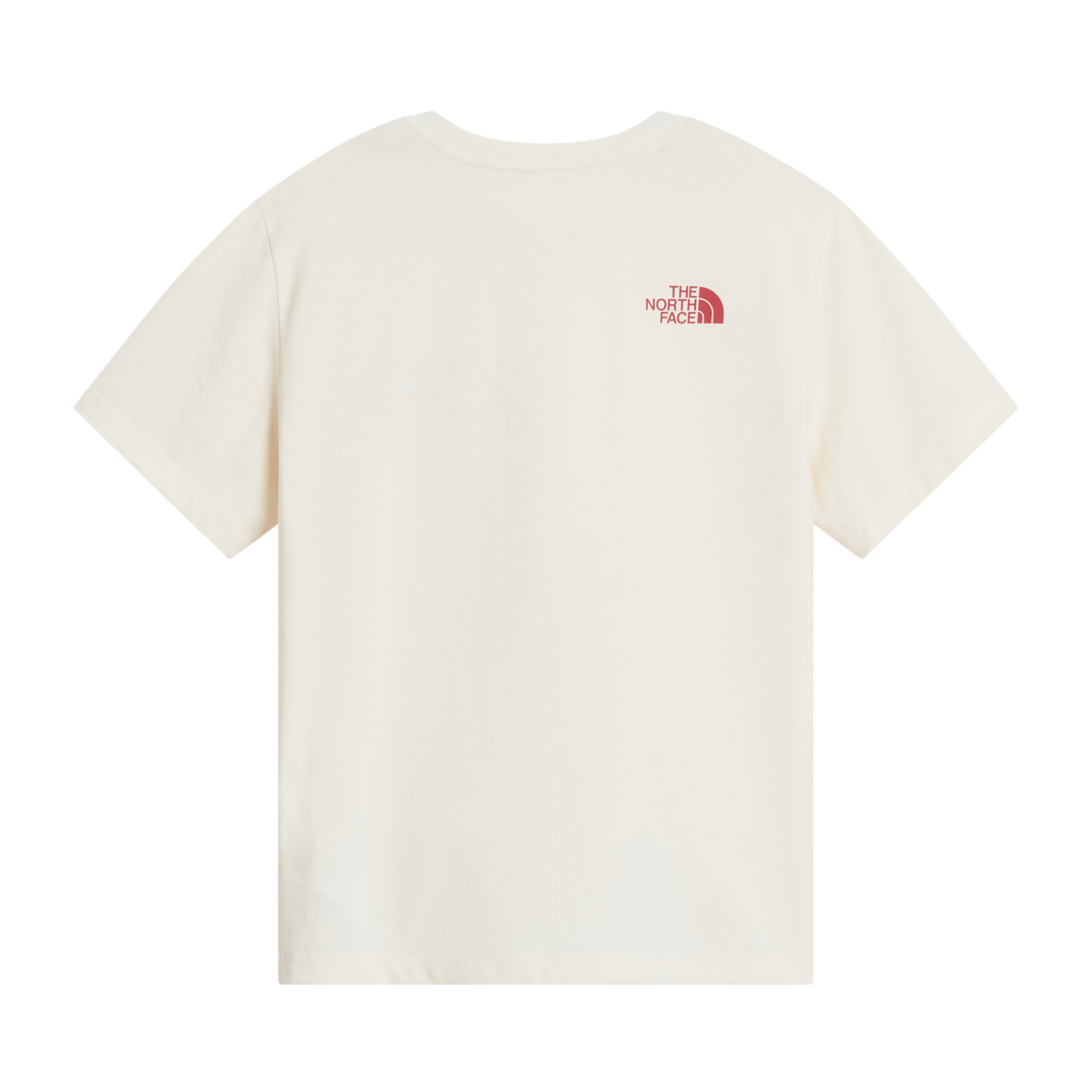 The North Face - Teen G Brand Proud Relaxed Ss Tee - Gra - WHITE DUNE - vista alternativa 1