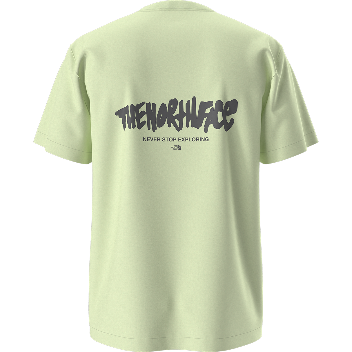 The North Face - Nse Relaxed Ss Tee-logo Play unisex - SHSTLBL/GRPMTBL - vista alternativa 11