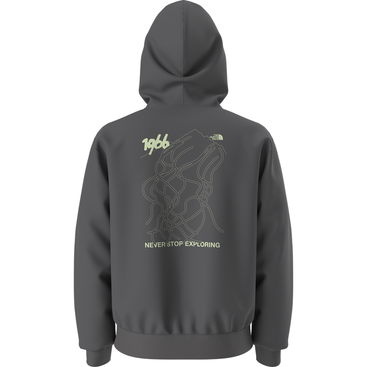 The North Face - Nse Slopes Relaxed Hoodie - Graphic unisex - ANTHRACITE GREY - vista alternativa 10