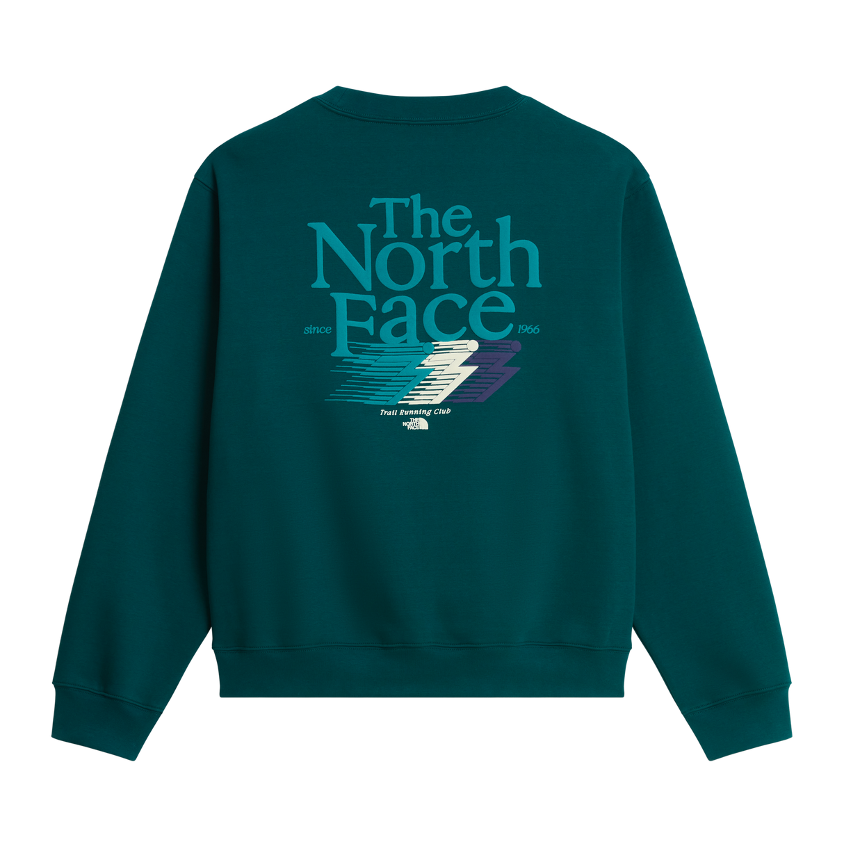 The North Face - Retro Trail Relaxed Crew - Graphic da uomo - Pacific Teal - vista alternativa 1