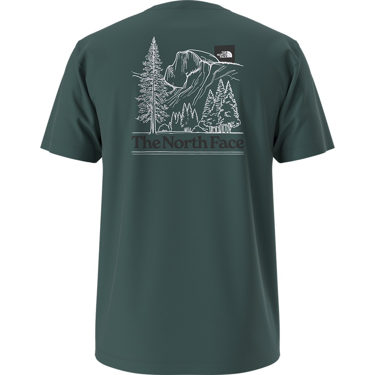 The North Face - Monte Reg Ss Tee-graphic da uomo - Pacific Teal - vista alternativa 10