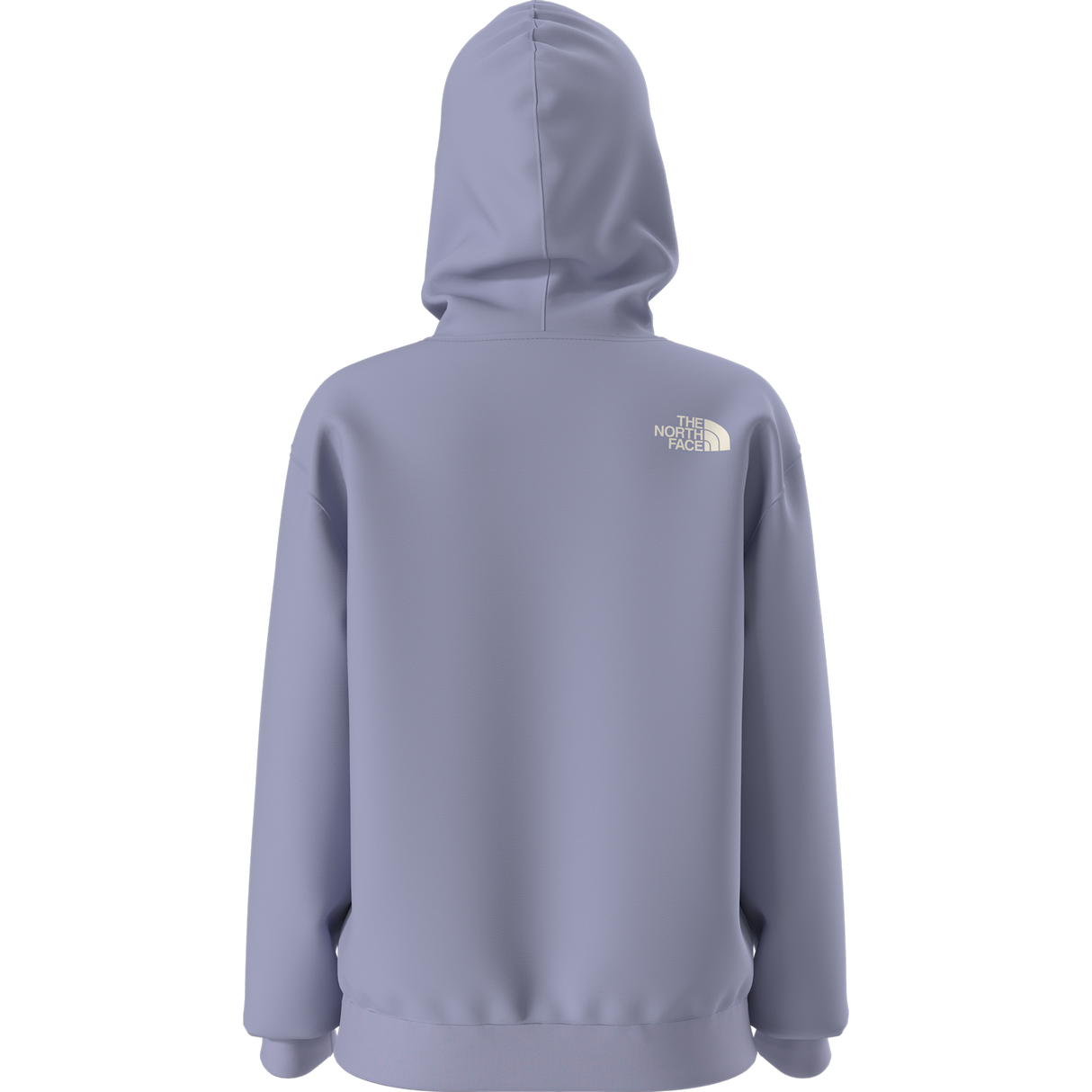 The North Face - Teen G Brand Proud Relaxed Hoodie - Gra - Pale Plum - vista alternativa 1