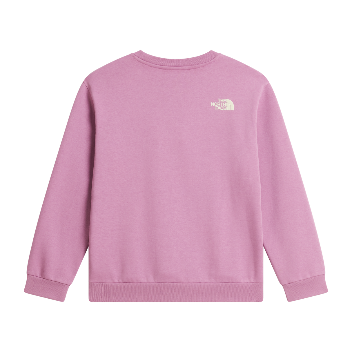 The North Face - Teen G Chalbi Relaxed Crew - Graphic - Hushed Lavender - vista alternativa 1