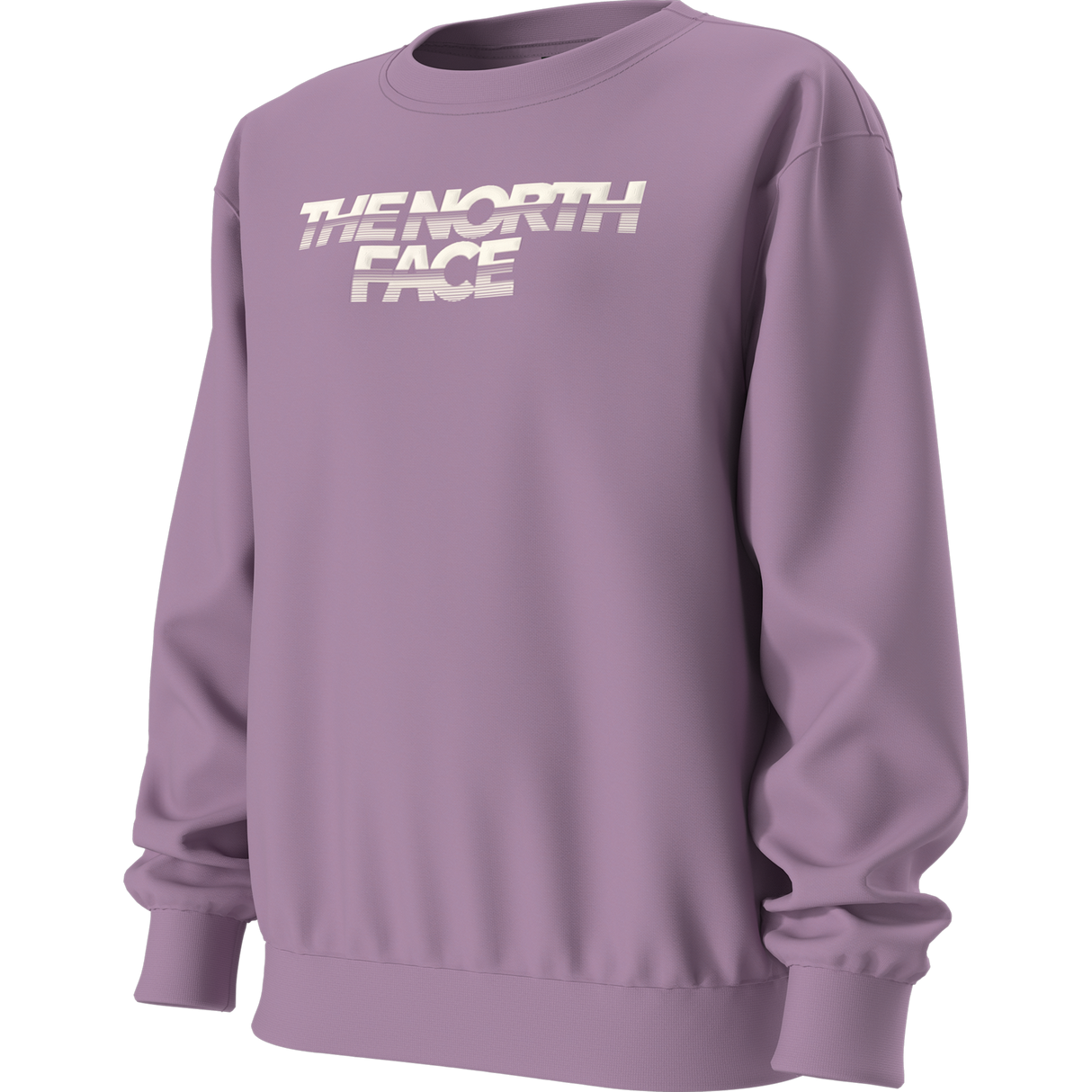The North Face - Teen G Chalbi Relaxed Crew - Graphic - Hushed Lavender - vista alternativa 2