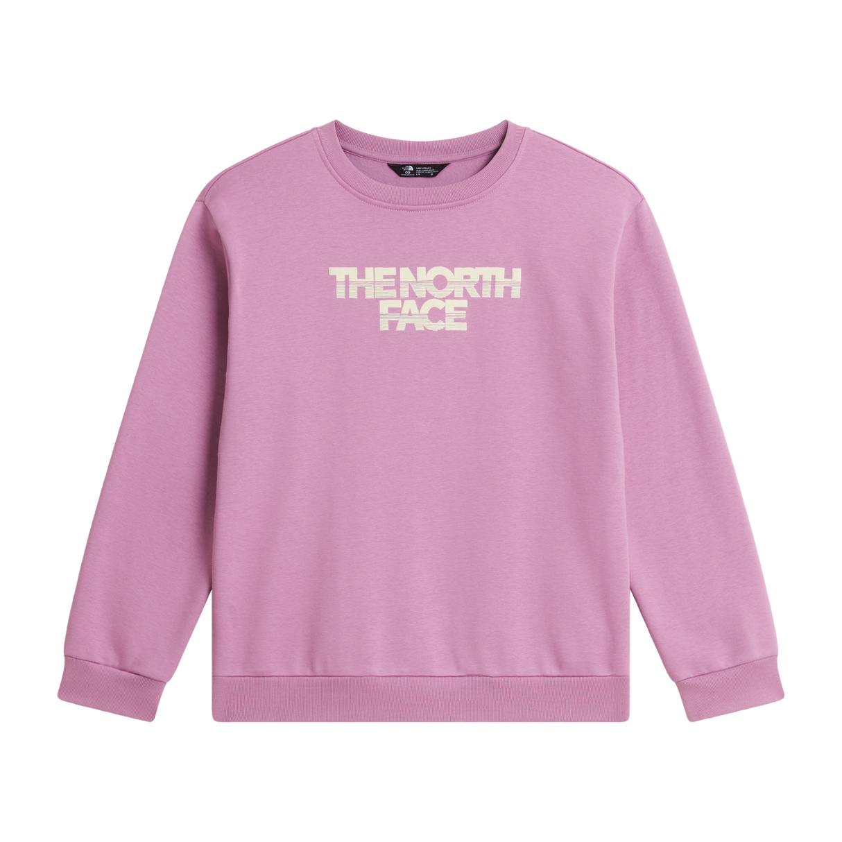 The North Face - Teen G Chalbi Relaxed Crew - Graphic - Hushed Lavender - vista principale