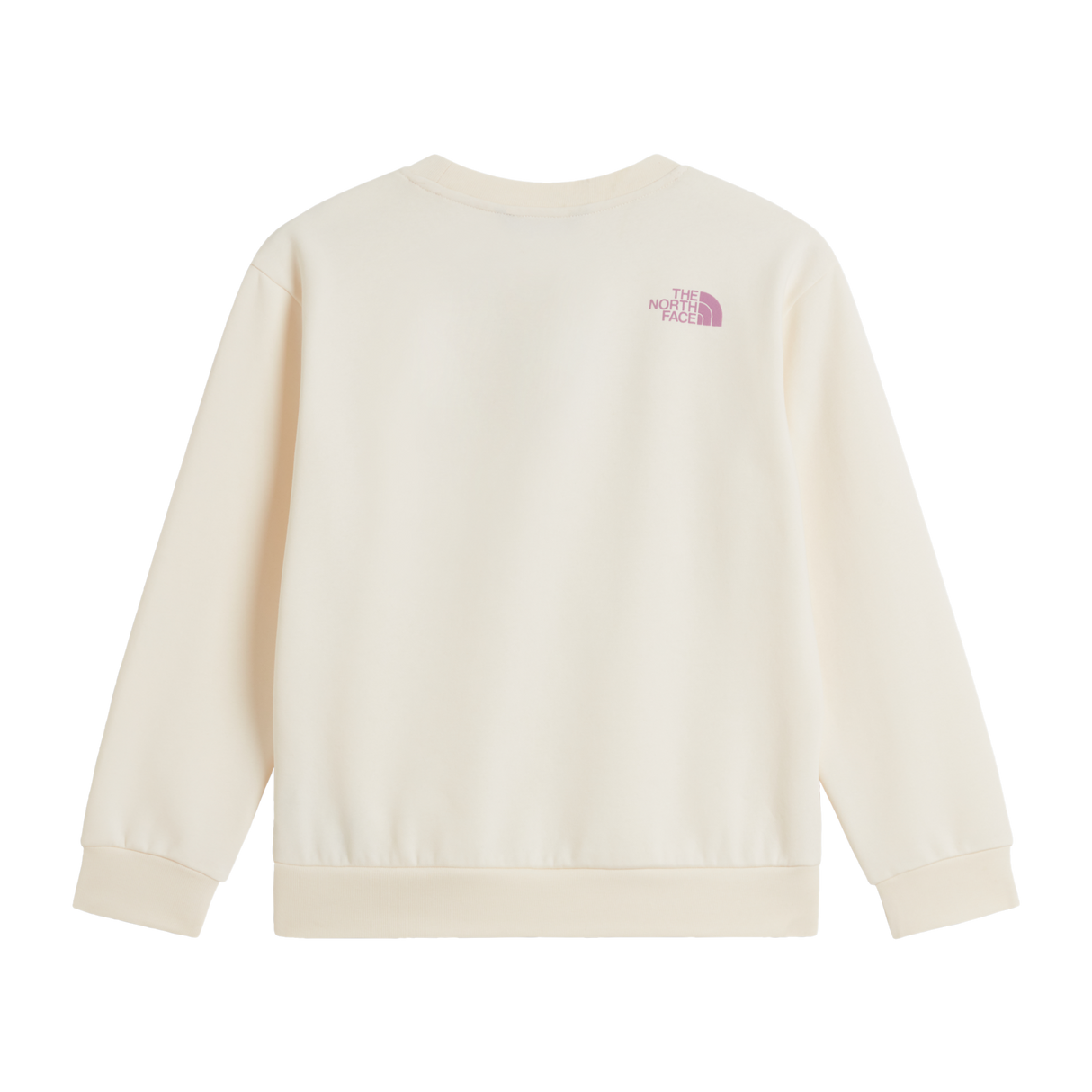 The North Face - Teen G Chalbi Relaxed Crew - Graphic - WHITE DUNE - vista alternativa 1