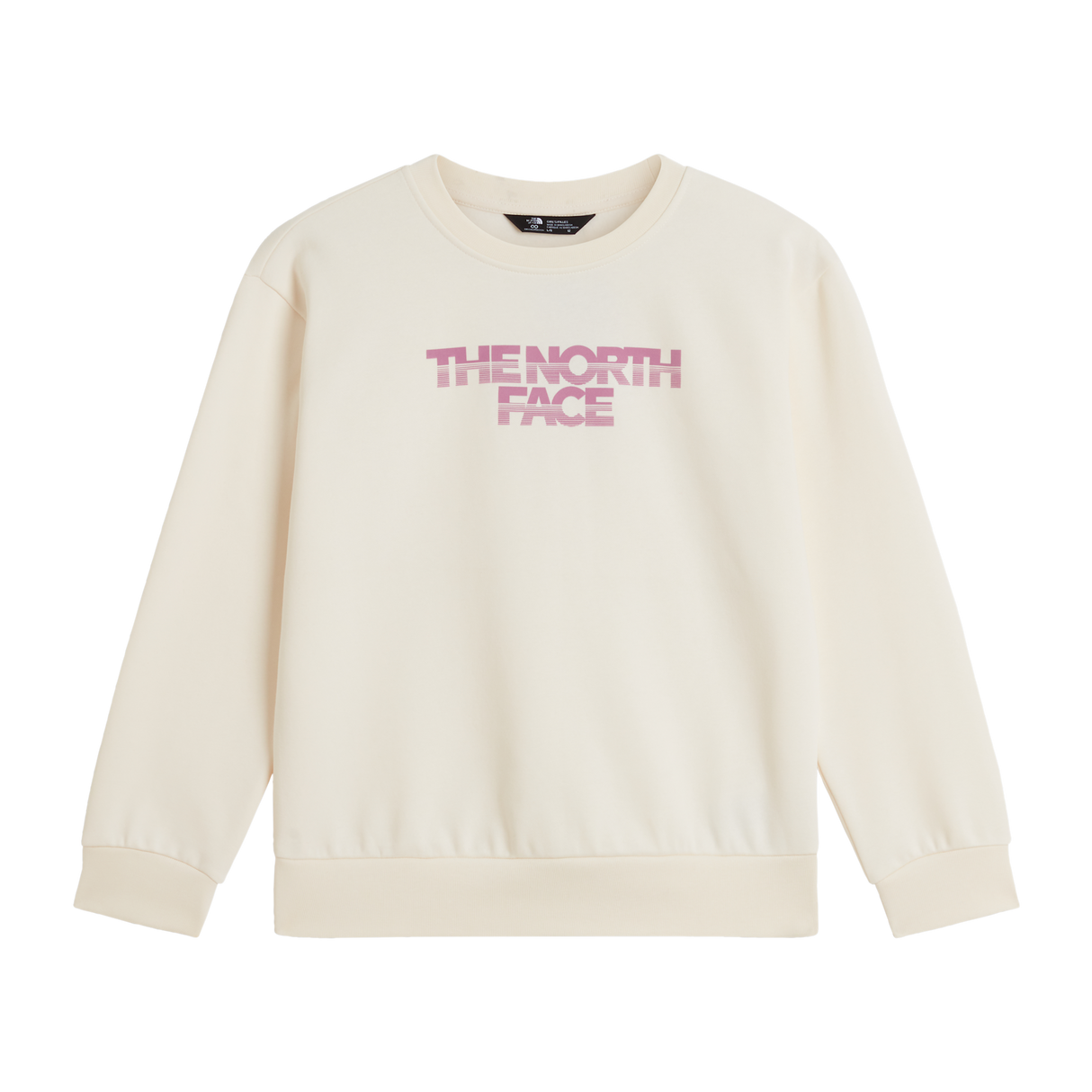 The North Face - Teen G Chalbi Relaxed Crew - Graphic - WHITE DUNE - vista principale