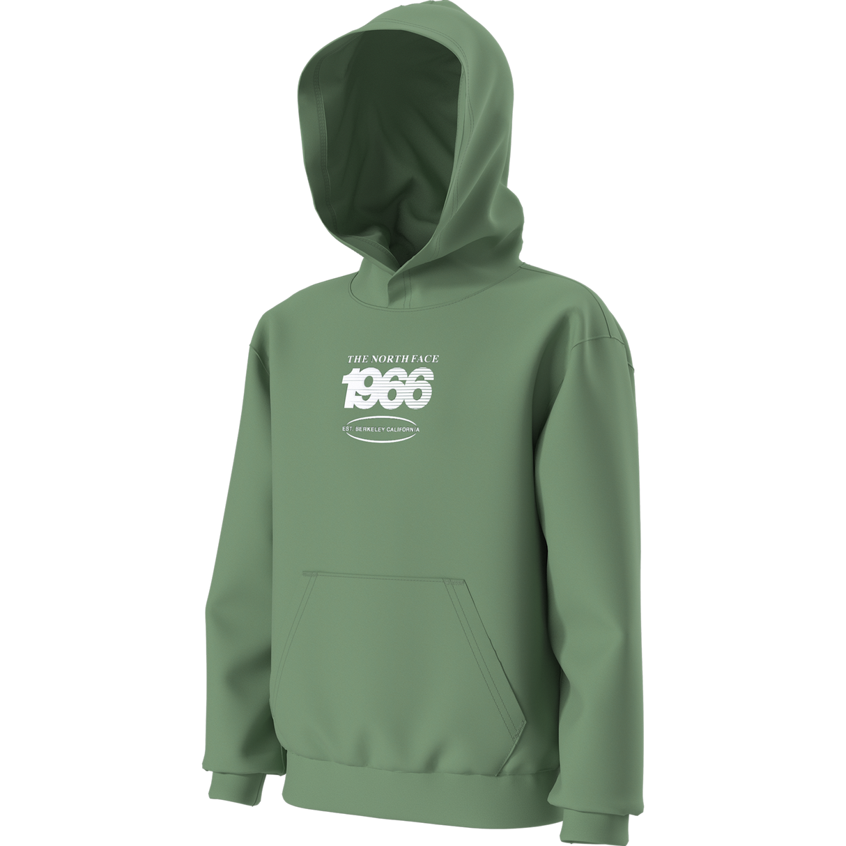 The North Face - Teen Track Relaxed Hoodie - Graphic - Dimmed Algae - vista alternativa 12