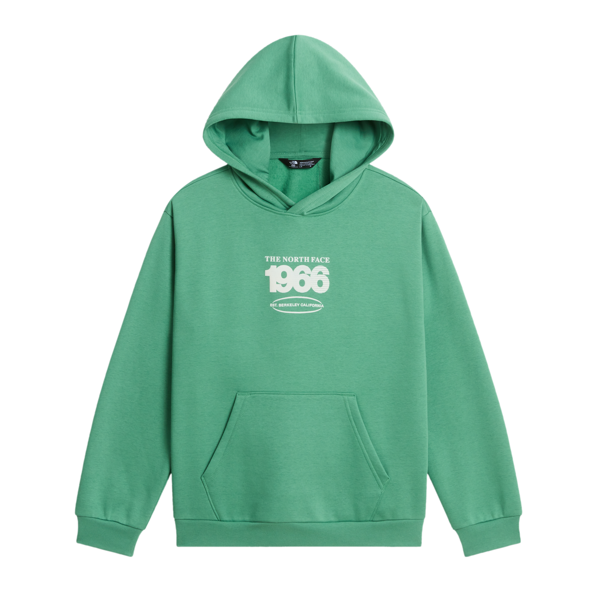 The North Face - Teen Track Relaxed Hoodie - Graphic - Dimmed Algae - vista principale