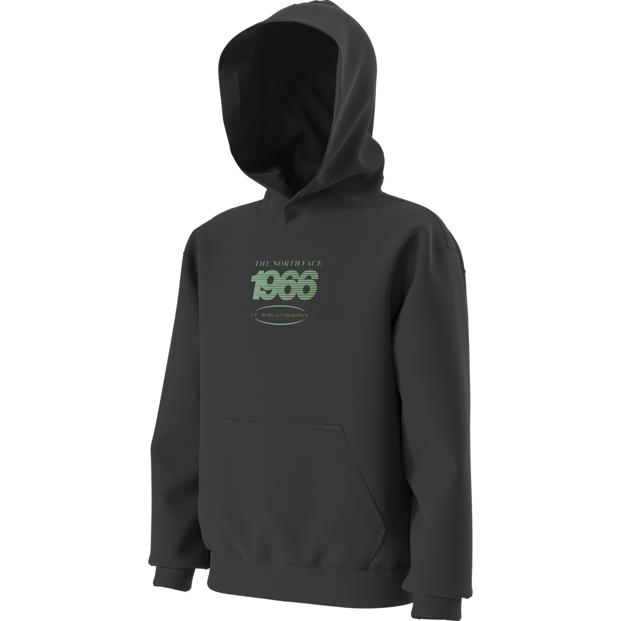 The North Face - Teen Track Relaxed Hoodie - Graphic - TNF BLACK - vista alternativa 12