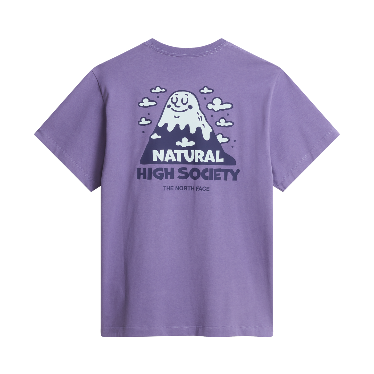 The North Face - Nat High Society Rlx Ss Tee-graphic unisex - URBNNVY/BRNZMST - vista alternativa 1