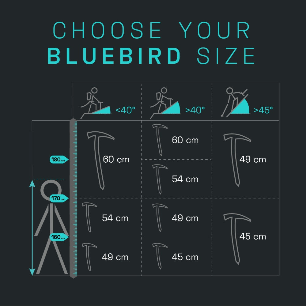 BLUE ICE - Bluebird