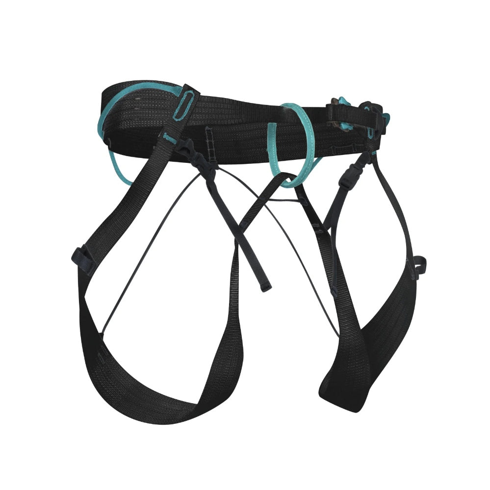 BLUE ICE - Choucas
