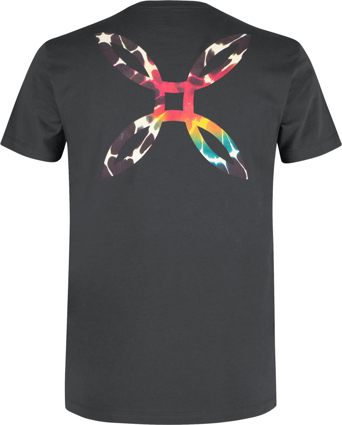 Montura - WOODSTOCK T-SHIRT — ARDESIA DELAVE' — Vista posteriore 2