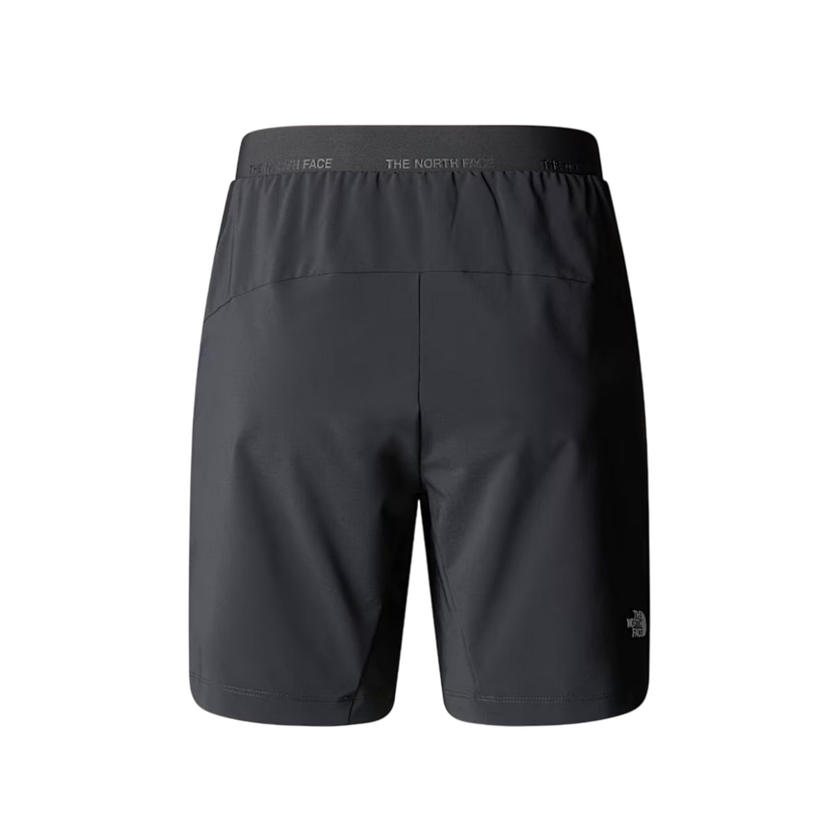 THE NORTH FACE NF0A8BT4MN8