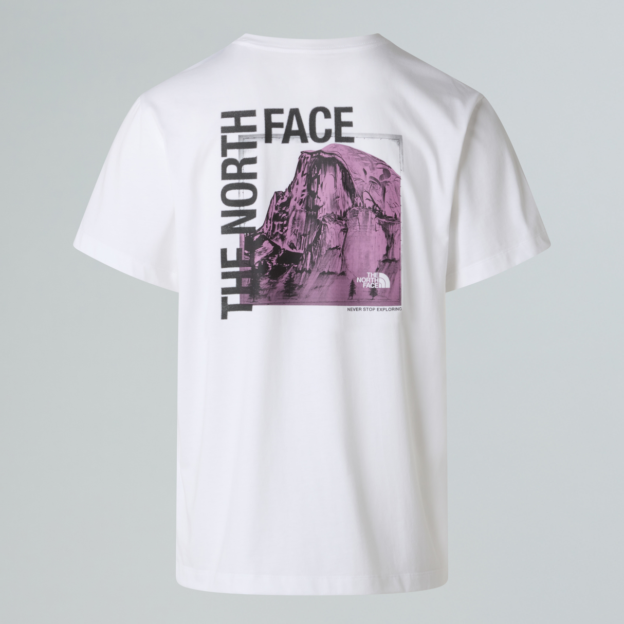 tnf_asset:NF0A8GV0FN4-ALT1