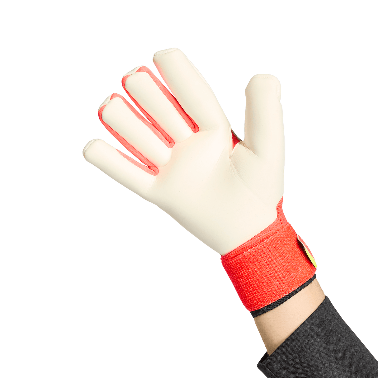 ADIDAS - Predator Pro Strap Goalkeeper Glove - image 3